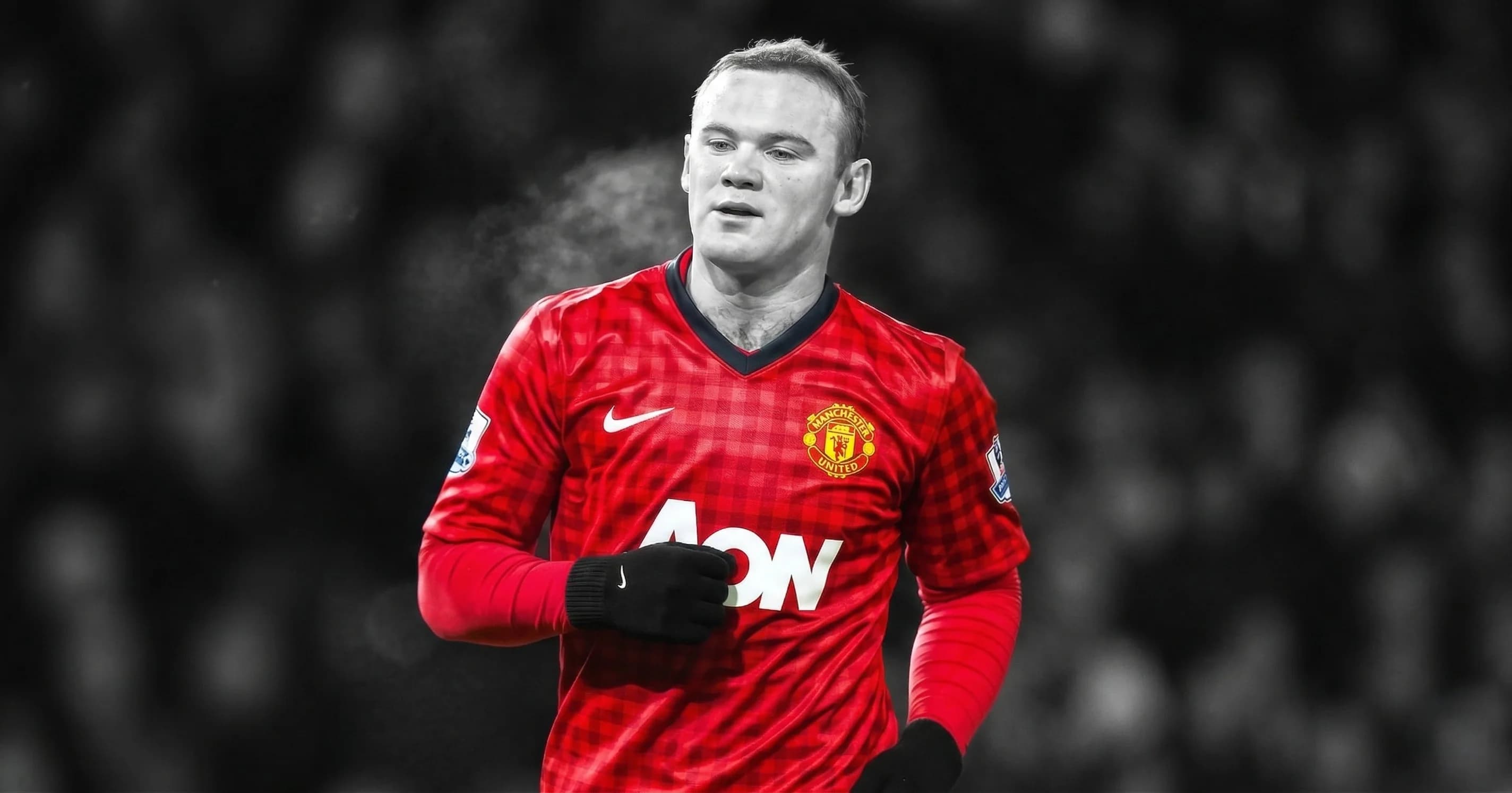 Banner 1